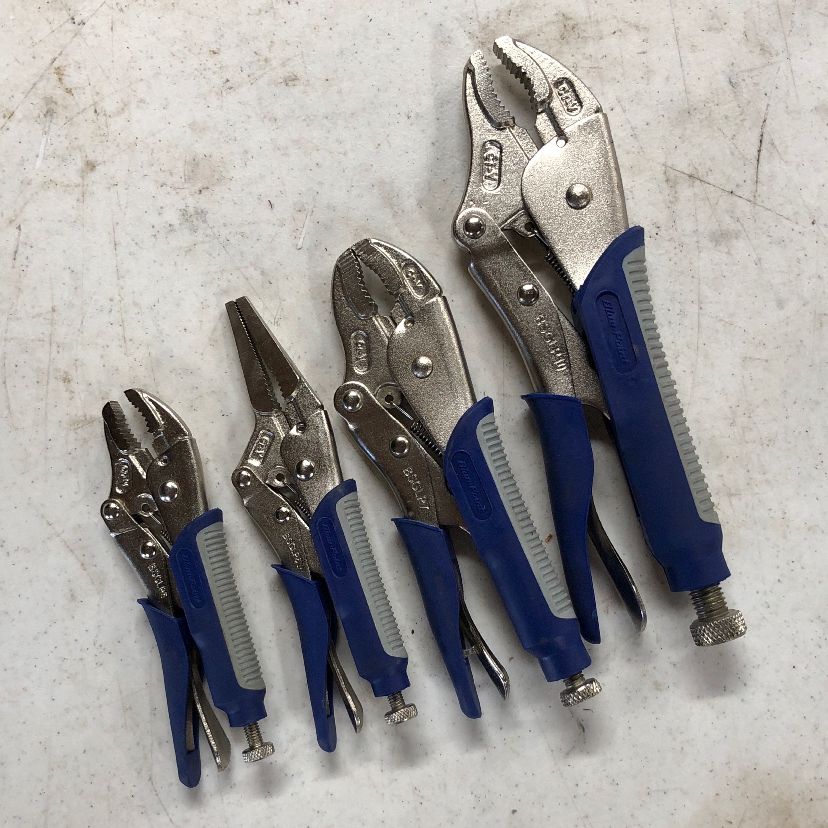 Blue Point - BSGLP404