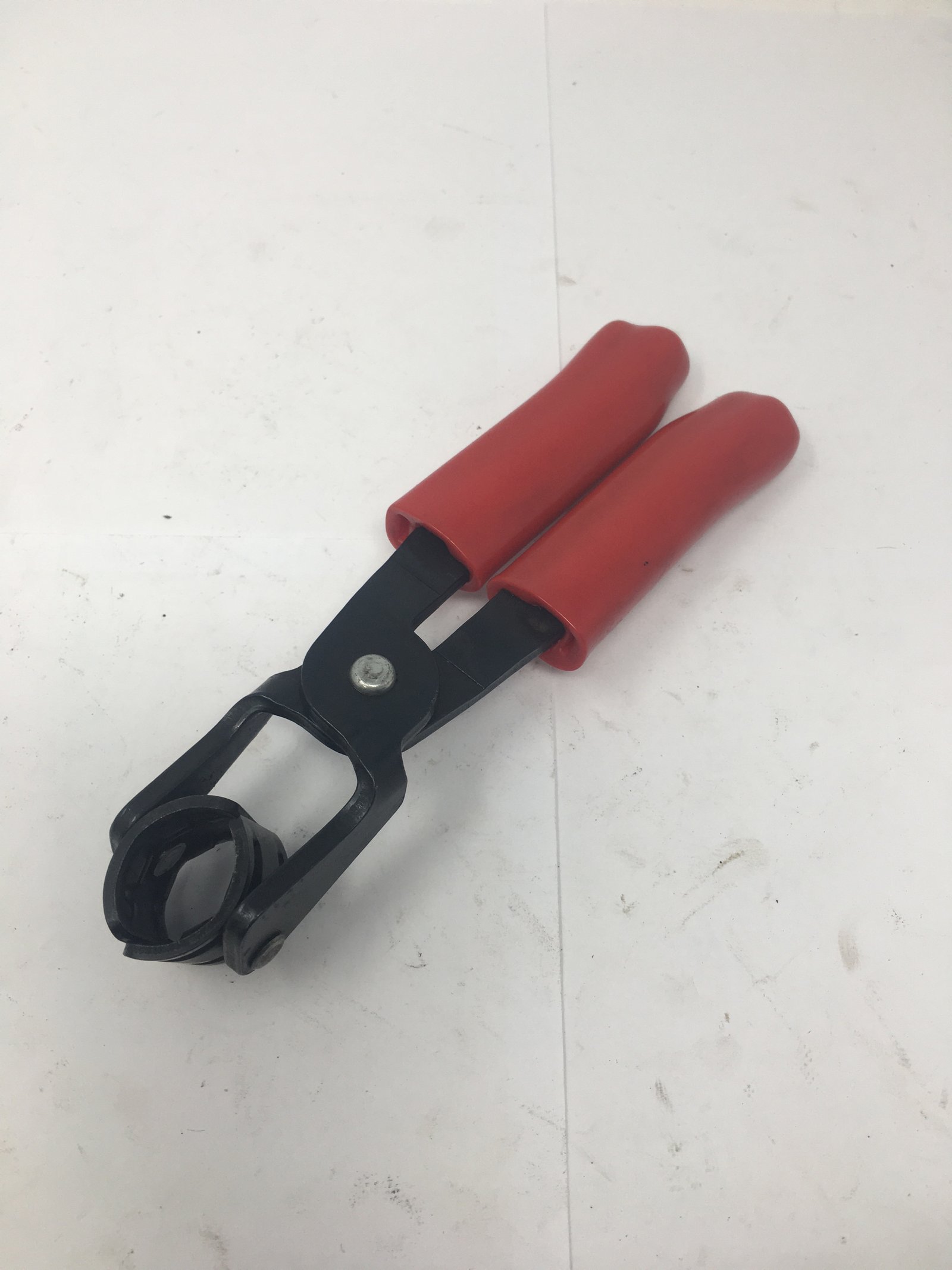 Blue Point - YA9660 - Image 2