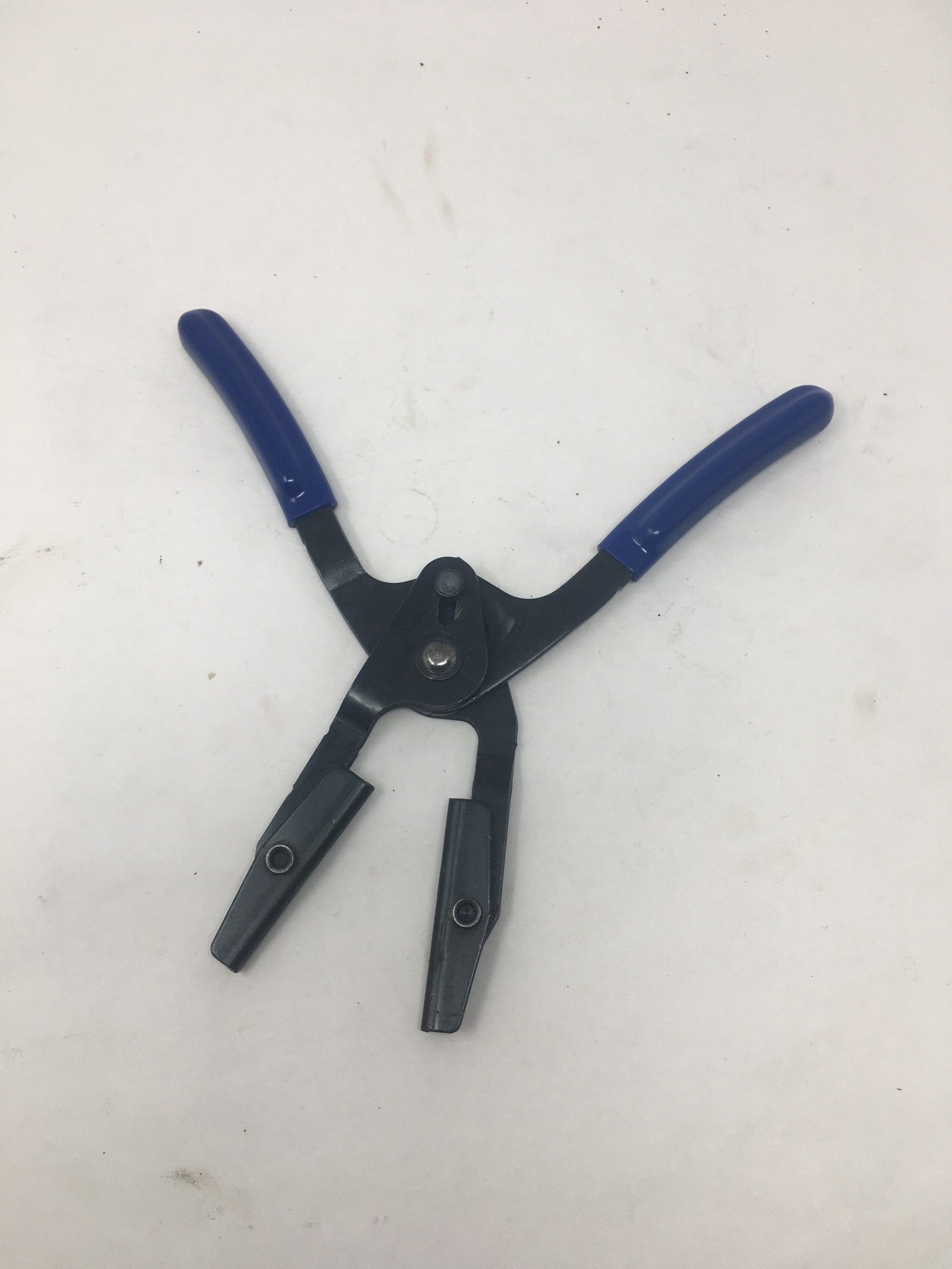 Blue Point - PHP1A - Image 2