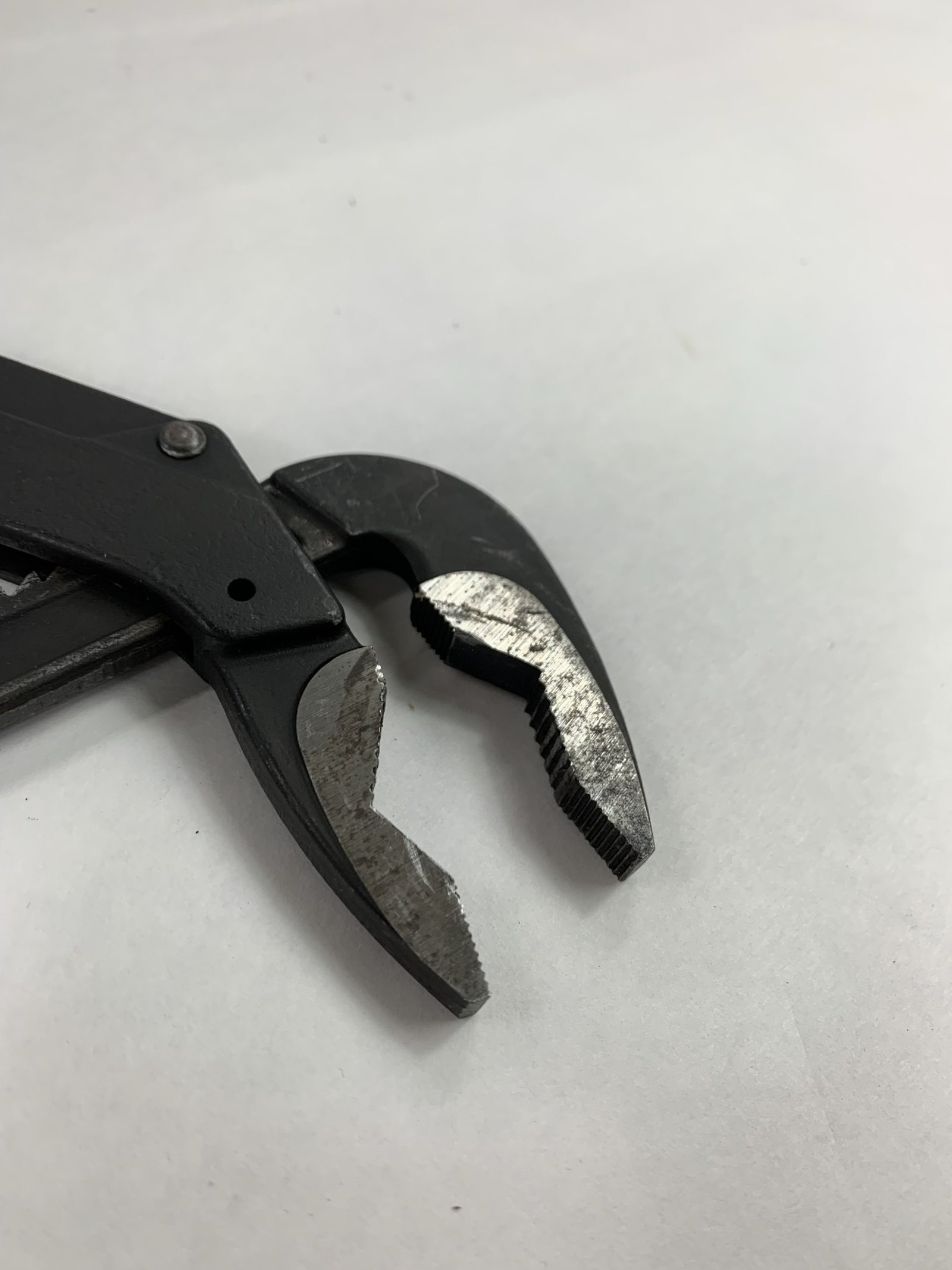 Blue Point - AP12 - Image 7