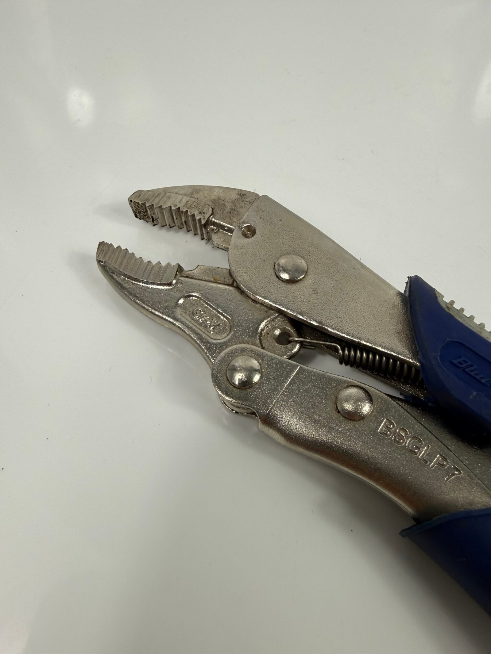 Blue Point - BSGLP7 - Image 3