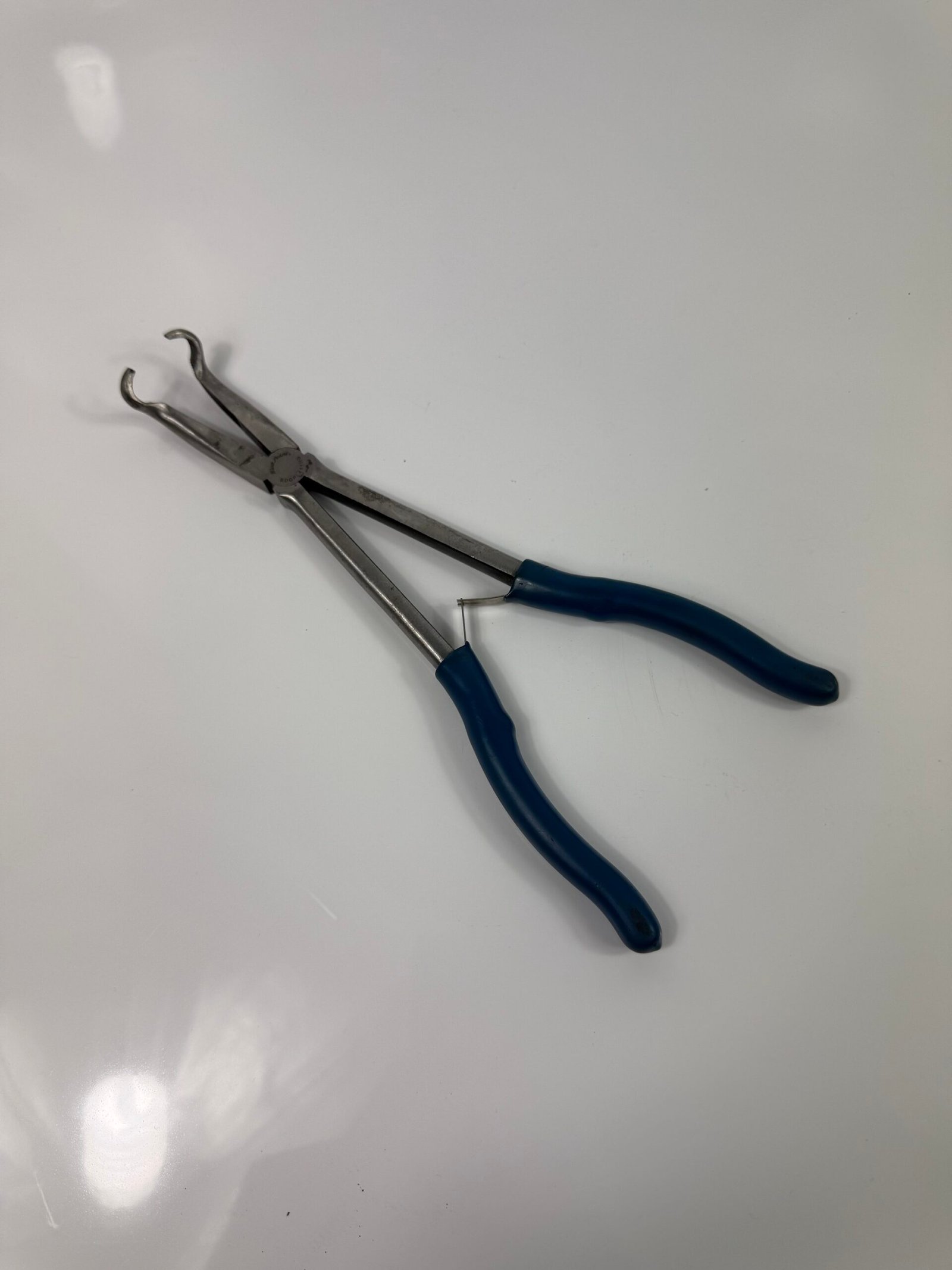 Blue Point - BDGPL411HG