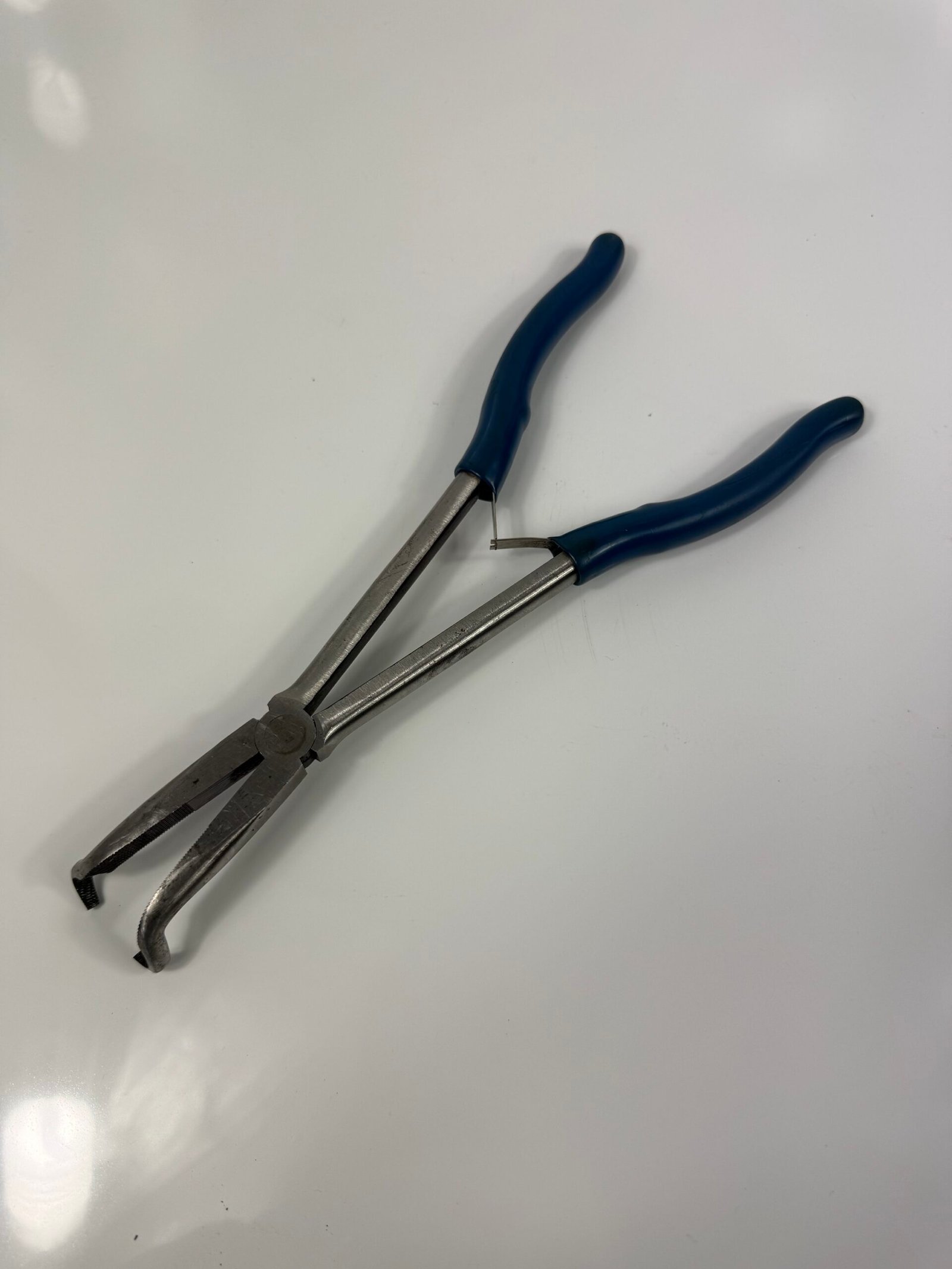 Blue Point - BDGPL411HG - Image 4